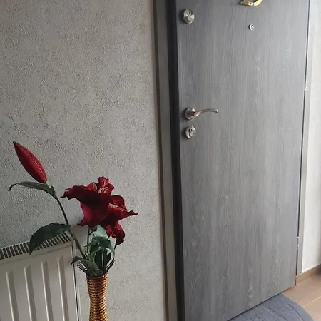 U Zofii * Iława