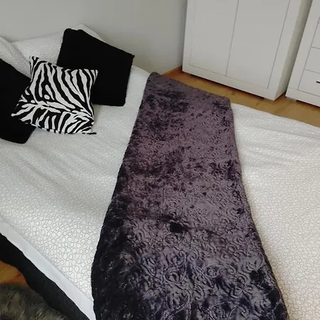 U Zofii Apartament Iława