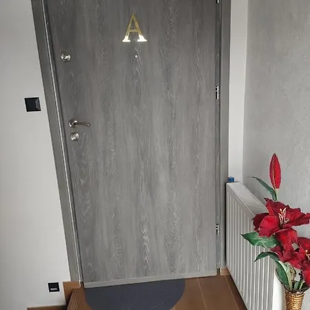 U Zofii Apartament